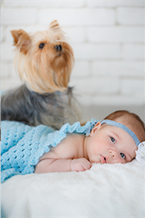 Ілюстрація немовляти з собакою