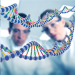 Наявність четверных ДНК відкриває нові можливості для лікування раку